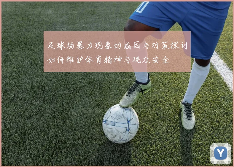 足球场暴力现象的成因与对策探讨如何维护体育精神与观众安全