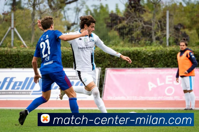 米兰体育中国平台生态图