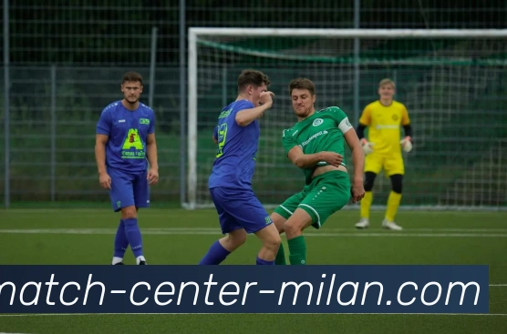 米兰体育中国APP 封面图